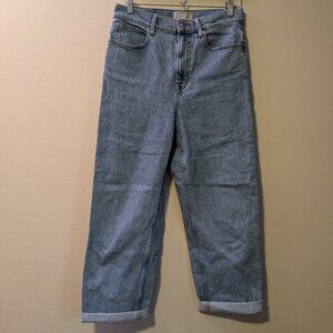 Everlane Way High Jean